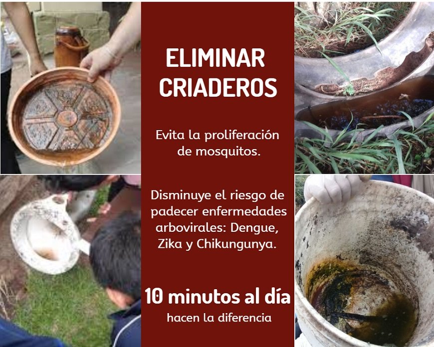 vigisaludpy's tweet photo. 🦟#DENGUE: Cualquier recipiente, sin importar el tamaño, puede convertirse en criadero de mosquitos
Luego de las☔️, deseche el agua acumulada
Elimine con la basura objetos en desuso que puedan acumular agua
El control y eliminación de criaderos debe ser periódico
#PySinCriaderos https://t.co/n7xh8pjqe3