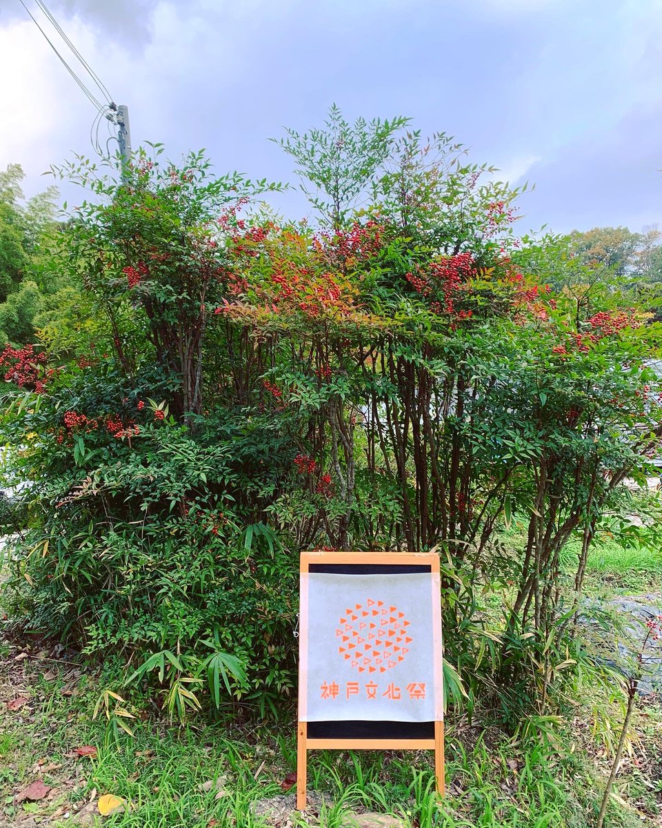 mayustudio4's tweet photo. #野焼き #pitfire #陶芸 #ceramics #土器 #earthenware 
#六甲 #六甲山 #六甲山麓 #神戸 #rokko #mtrokko #kobe #マユスタジオ #マユスタジオやきものとえの工房 #mayustudio #mayustudioforartsandceramicarts 
#神戸文化祭 #神戸文化祭2020 #神戸文化祭フラッガー #kobebunkasai #kobebunkasai2020 https://t.co/vODzQkE2JO