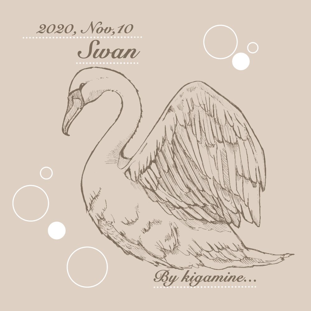 Kigamine Swan Webデザイン 手書きスケッチ アナログスケッチ 白鳥 動物 デッサン イラストデザイン 印刷物デザイン制作 Kigamine T Co Addmaajbih Twitter