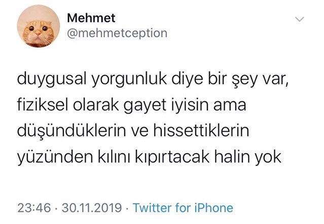 MOOD (@w3mood) on Twitter photo 