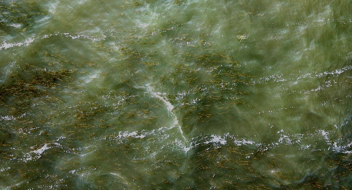 Ook het <a href="/IBED_UvA/">IBED</a> gebruikt weleens drones voor onderzoek. Met behulp van drones kun je bijvoorbeeld waterplanten in het Markermeer in kaart brengen en wat meer over het ecosysteem te weten komen. folia.nl/wetenschap/141…