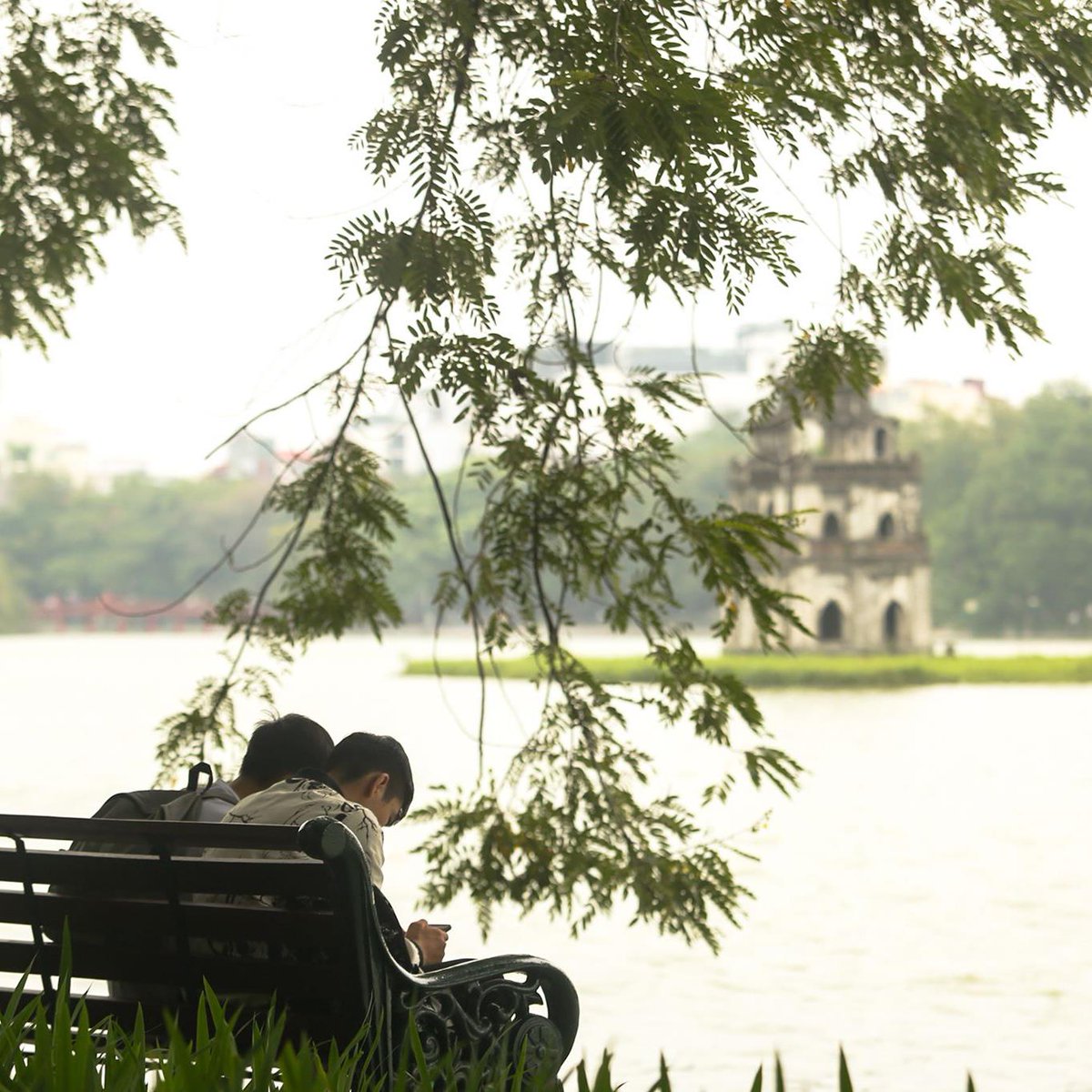 YourVietnamOrg's tweet photo. #Hanoi #Autumn is always gentle and beautiful ...

Cre: Lê Văn Viết Niệm

#yourvietnam #vietnam #travel #yourvietnamorg https://t.co/w2QNiF9pAr
