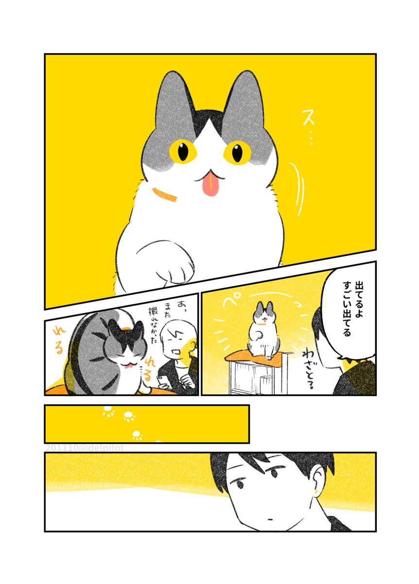 舌チョロ猫 