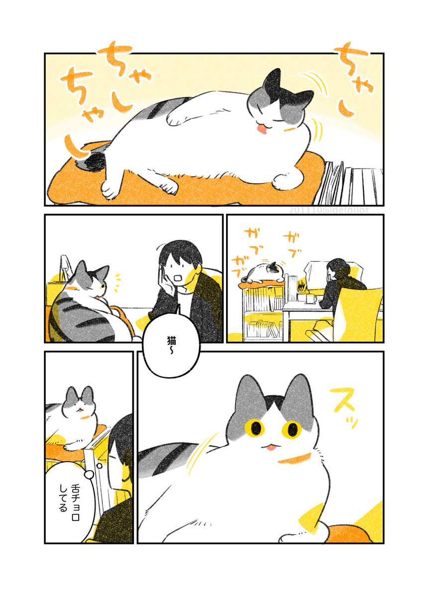 ふじひと 猫の舌チョロについてですが 猫が舌を出す頻度が急に多くなった時などは病気 や怪我が隠れている時もあります 単純にリラックスしている など問題の無い場合もありますが いつもと猫の様子に変化があった時には獣医さんに相談してください