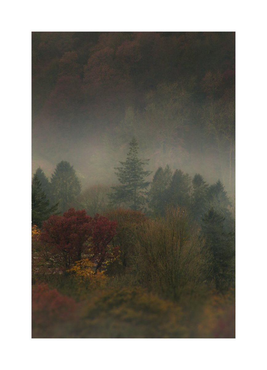 AmbleSnap's tweet photo. One from the bedroom window this morning 🙂 ☁️🌲☁️ #ambleside #LakeDistrict #Lockdown2 https://t.co/pykiGbpEfX