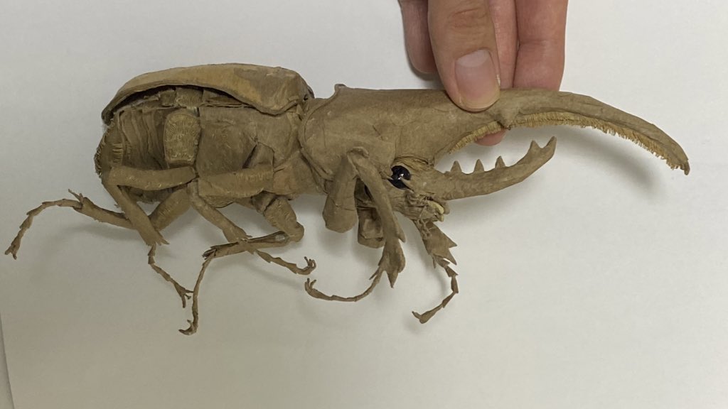 昆虫アート Twitter Search Twitter