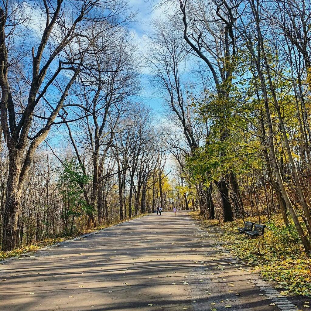 Béatrice B.-Poulin tweet media