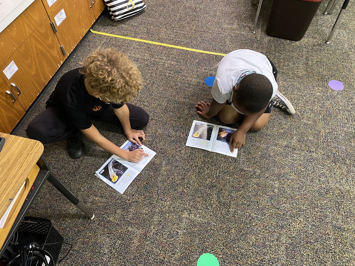 Ms. Shields tweet media