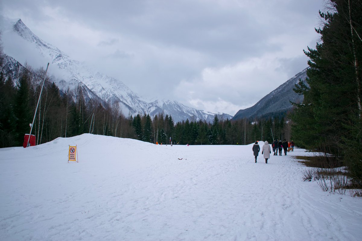 FramesTimeless's tweet image. Free your mind