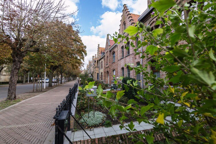 StadNieuwpoort's tweet photo. De Stad zorgt voor meer openbaar groen. 🍀Dit najaar worden straatbomen aangeplant op diverse locaties. 🌳

We maken ook werk van ontharding. Zo kan het regenwater zo goed mogelijk opgevangen en opnieuw gebruikt worden. 👍

#Nieuwpoort #groen https://t.co/ukpXInDUJS