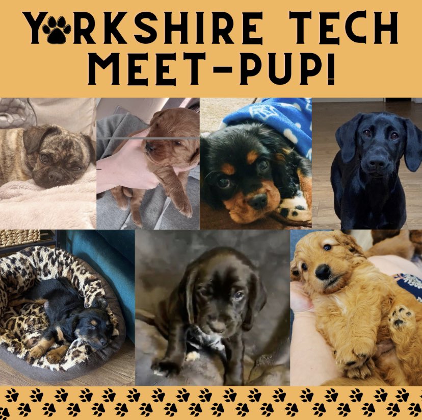 Elly Nettleton (Greaney) tweet media