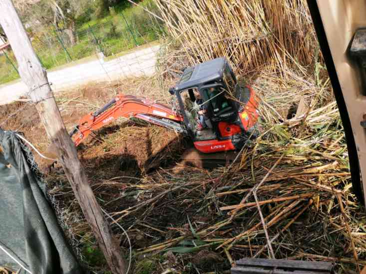 anteprima24's tweet image. ** #Castellabate, #Lavori in corso per pulire i #Valloni ** anteprima24.it/salerno/lavori…
#Pulizia #AttualitàSalerno #Salerno #anteprima24