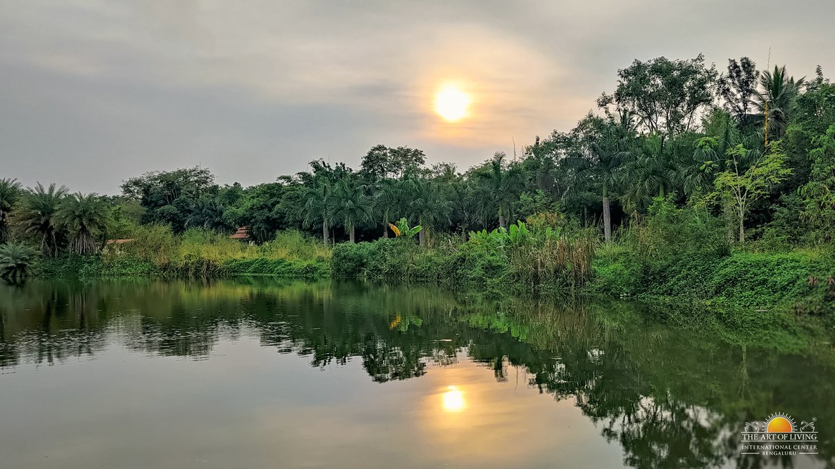 ArtofLivingIC's tweet photo. When you rejoice within, the entire nature celebrates and expresses that immense depth of joy through silence.

Scintillating capture from The Art of Living International Center, Bengaluru where mother nature replenishes to the fullest! https://t.co/4ymlfgjvTi