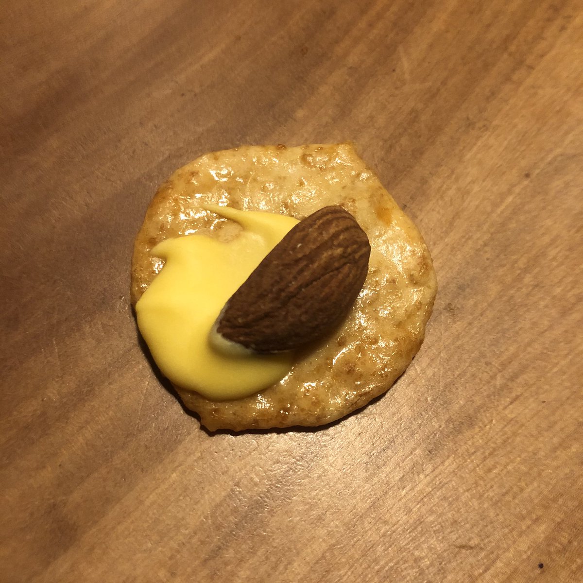 satoppooooo's tweet photo. おせんべいもチーズもアーモンドも大好き。つまりお前ほんと最高だよ。
ど真ん中じゃないところに座ってくれてありがとう https://t.co/TNCyuMtjzi