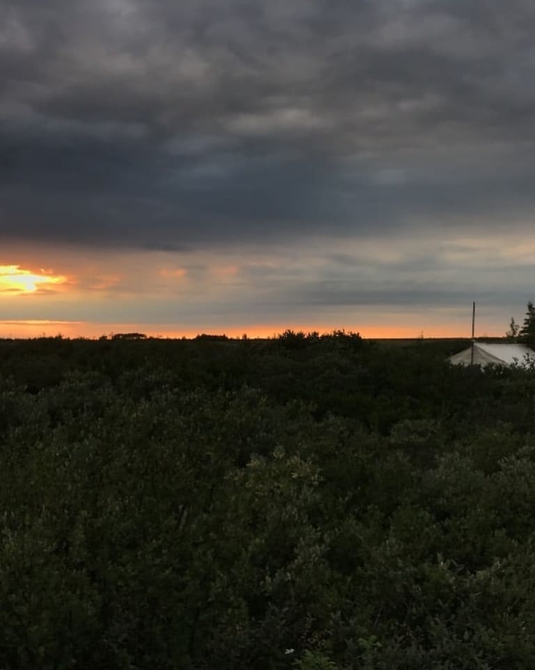 PYRN_official's tweet photo. "Working with #FirstNations #Communities is a very important part of #northern #fieldwork. Researchers from academica, government, and NGOs went to participate in knowledge sharing #workshops, which included a #campingtrip & #canoeride onto Hudson Bay!"@Kirkwood38 https://t.co/WZDNqn6JZE