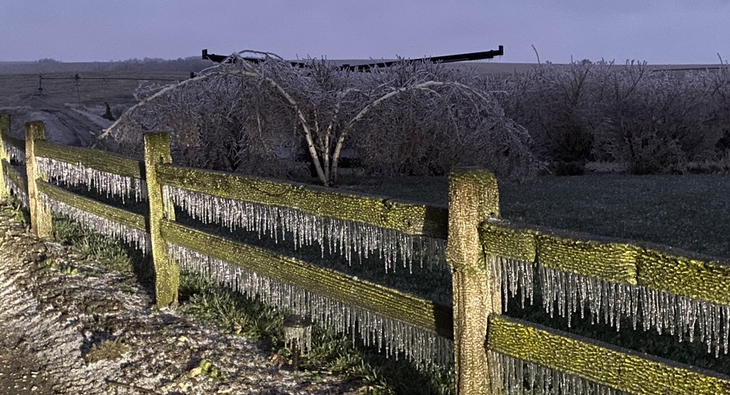 JoanRuskamp's tweet photo. Oh Mother Nature why do you have to be so nasty. #icestorm #weather https://t.co/l6Sa4o7FsU
