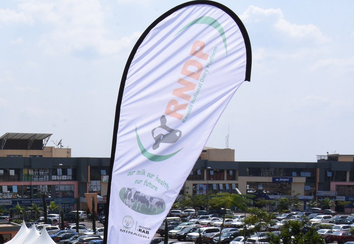 RwandaDairy's tweet photo. Rwanda National Dairy Platform (RNDP) is an acronym  for @SPIU_IFADRwanda #RDDP is
the formation of a public private partnership to allow for the advocacy and promotion of members'business interests which can be effectively of the articulated and solutions to challenges sought. https://t.co/Hgf4gMv11L