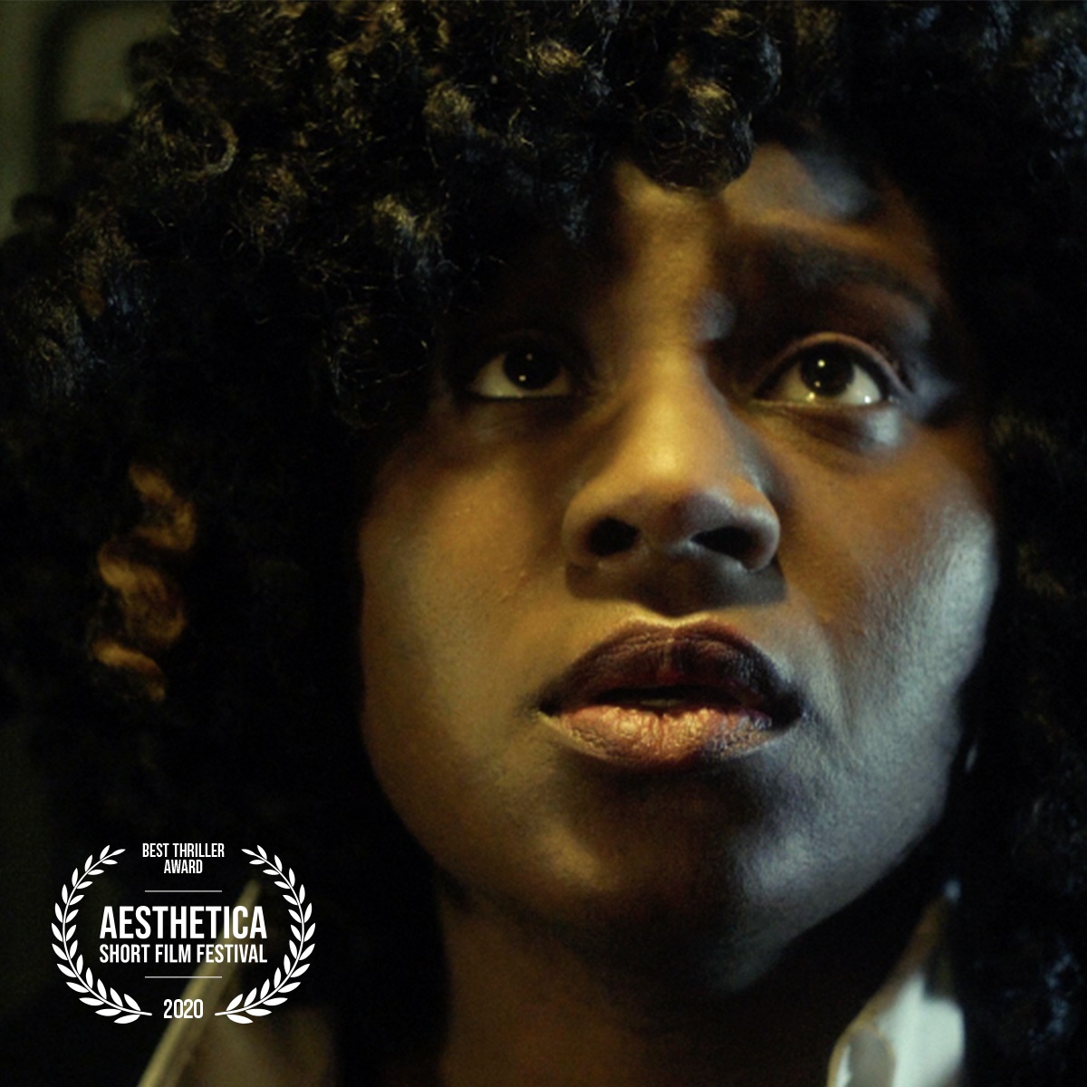 Charleshutchpr1's tweet photo. Who won the awards at the 2020 online Aesthetica Short Film Festival in York?
Full list and thoughts of director Cherie Federico at https://t.co/nQQqXBUuaQ
@ASFFest @cheriefederico #GregMcGee @according2mcgee #TheFantastic #Filmfestivals https://t.co/545anrVVpm