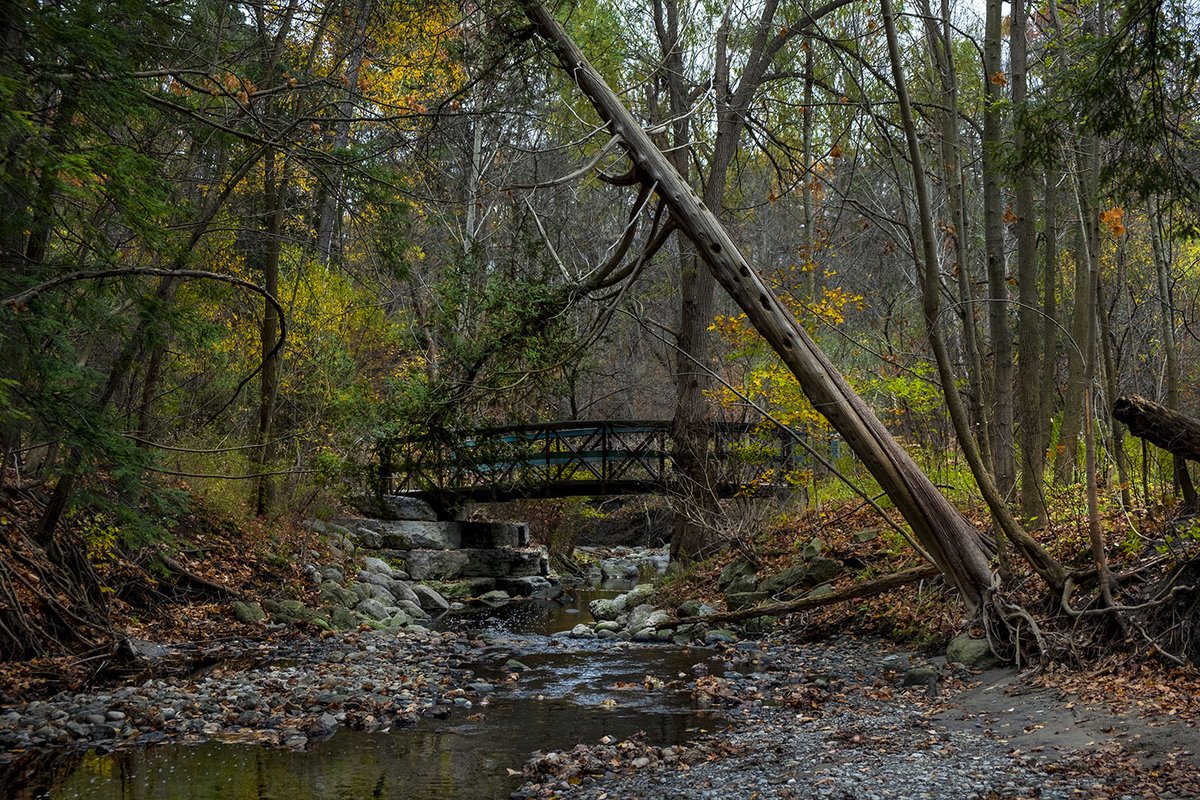 rickmcginnis's tweet photo. Hiking along Wilket Creek during #lockdowntravel - a little creek that can have a temper. https://t.co/FGceDecjAJ #TravelTuesday #travel #travelphotography #travelblog #Toronto #travelphotoblog #lockdown #travelblogger #photographer #landscapephotography https://t.co/QbJj1H0ixk