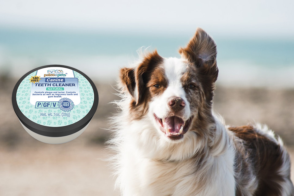 paleopets's tweet photo. Paleo Pets Canine Dental Care is an all-natural and holistic 100% Natural and Effective Toothpowder made from Earthen Clays and from essential oils (*Peppermint only) which target tartar and bad breath at their source. https://t.co/56kp6ugY23