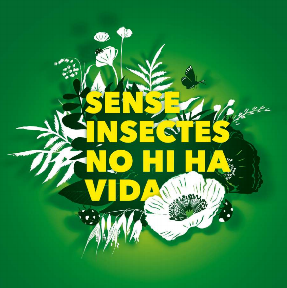 BCN_EspaiPublic's tweet photo. La campanya d’@ecologistas en acción “Sense #insectes no hi ha vida”  🦗  pretén sensibilitzar la societat sobre la importància d’aquests éssers i visualitzar les conseqüències de l’extinció d’algunes espècies. 🌿
#BcnSostenible #biodiversitat 

ℹ️ https://t.co/FUGVcs5wTS https://t.co/sq9sqMuXhJ