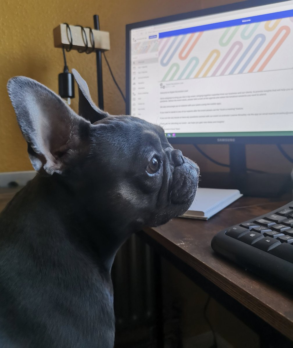 content_cloud_'s tweet image. Our Head of Puplick Relations is waiting for #digitalrevolutionlive to start and we keep reassuring him it's not long now. Our first session kicks off at 2pm. There's still time for you to join.
live.contentandcloud.com/digital-revolu…