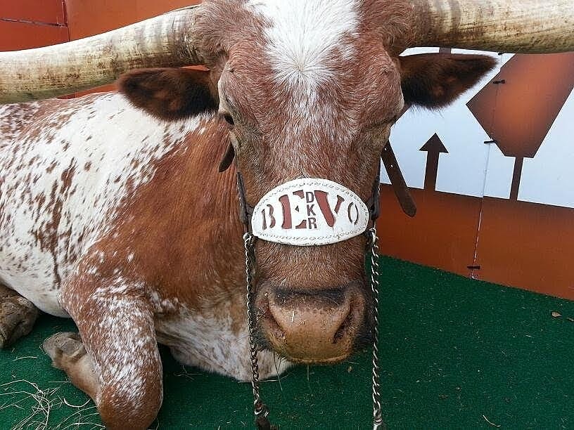 Emdyg_AU4AAnqMV?format=jpg&name=900x900