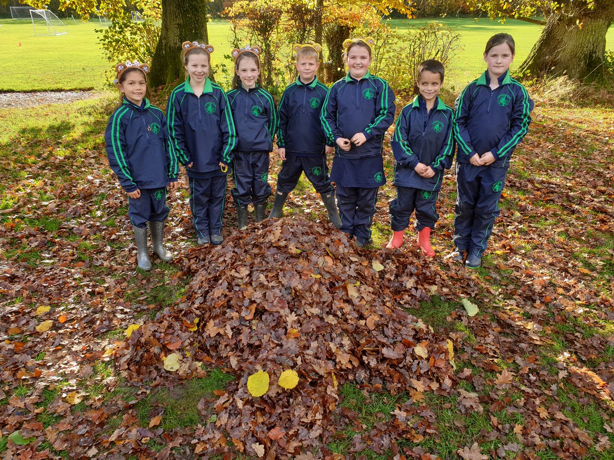 ThorngroveRowan's tweet photo. Leaf Turtle! #leaffun #playtime https://t.co/QoBa84ijJA