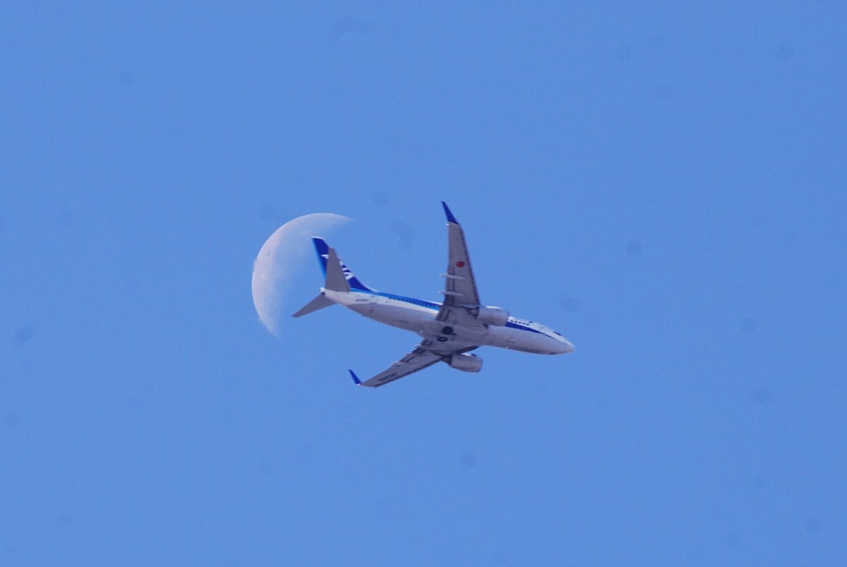 jg1qnz's tweet photo. 11月10日の✈All Nippon Airways 快晴
#NH404 秋田→東京羽田 JA03AN #ANA
B737-781 #残月と飛行機 #飛行機
#ソラマニ_ヒコーキ #羽田空港
#青空写真 #お家上空 https://t.co/CSWG4zzMqP