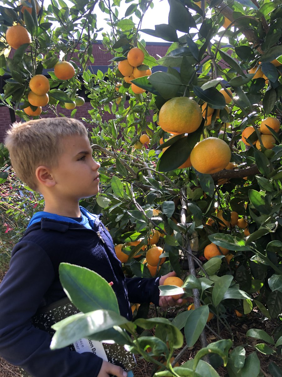 RBWright Elementary tweet media