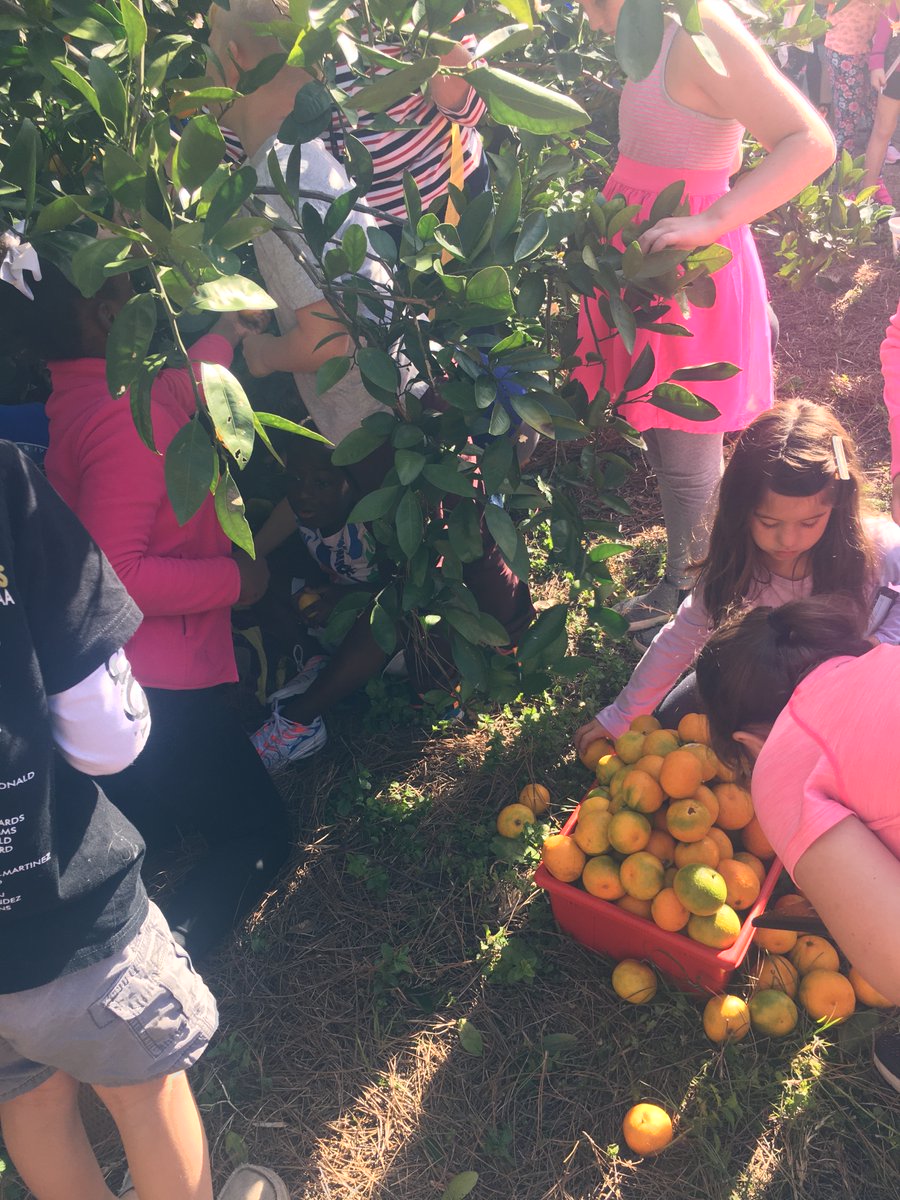 RBWright Elementary tweet media