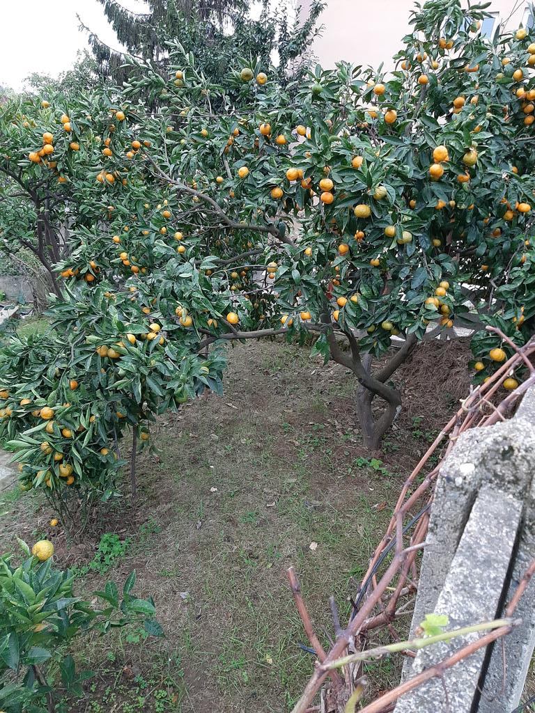 noter (@noterkumru) on Twitter photo 