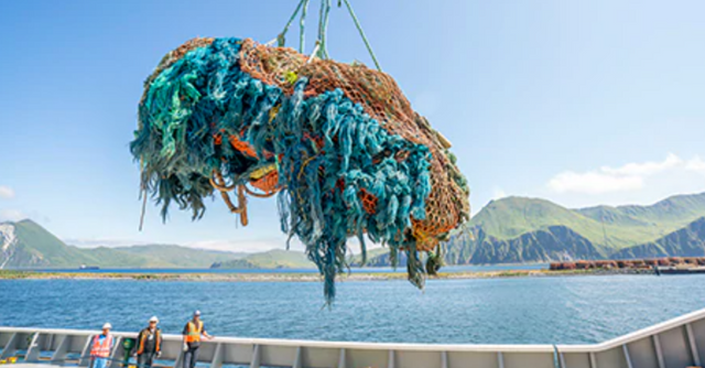 OracleJennifer's tweet photo. For many eco-conscious brands, making sure the plastic they use is recycled ocean plastic is difficult. @OceanworksCo’s track-and-trace app, which runs on @OracleCloud makes it easy. https://t.co/tugVhi9Bs7 https://t.co/hRGvrnYNZh