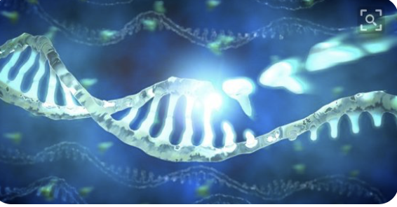 technoscan's tweet photo. DNA DATA STORAGE is regarded as a #TechnologyLandmark for use in an #OmegaMap It is estimated that 160 zettabytes p/year storage capacity required worldwide by 2025 https://t.co/IzgOFCB8A5

Functionality focus: #Store_Information

Omega Map format: Book: https://t.co/YPDBTZnVyY https://t.co/9ytOP8RmNb