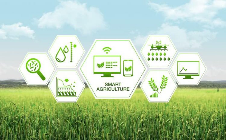 If you aren't applying these technologies to your agri-business, you might just be left behind🤷:

"GIS software and GPS agriculture, Satellite imagery, Drone and other aerial imagery, Farming software and online data, Merging datasets"

Get on this train now! info@agroextech.com