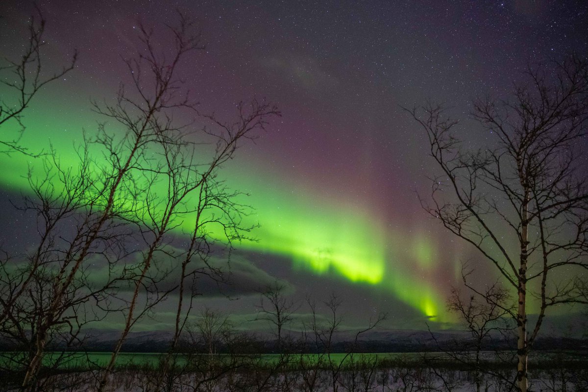 Anna Blackwell FRGS tweet media