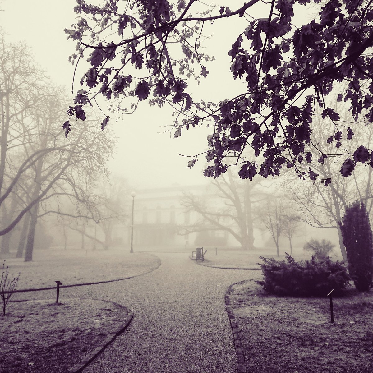 chrome.gram tweet media