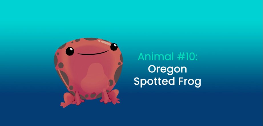 unboxals's tweet photo. ๐ธ Happy #AmericanFrogDay! ๐The Oregon Spotted Frog can SPOT things in almost every direction when under water with its superpowered eyes! ๐ Learn more about this remarkable reptile at https://t.co/coA2FHeY2L
-
#unboxals #celebrate #superpowers #conservation #frogs https://t.co/qNIIvH87B3