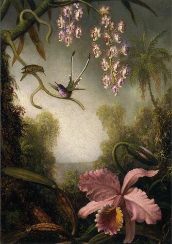 laura franch tweet media