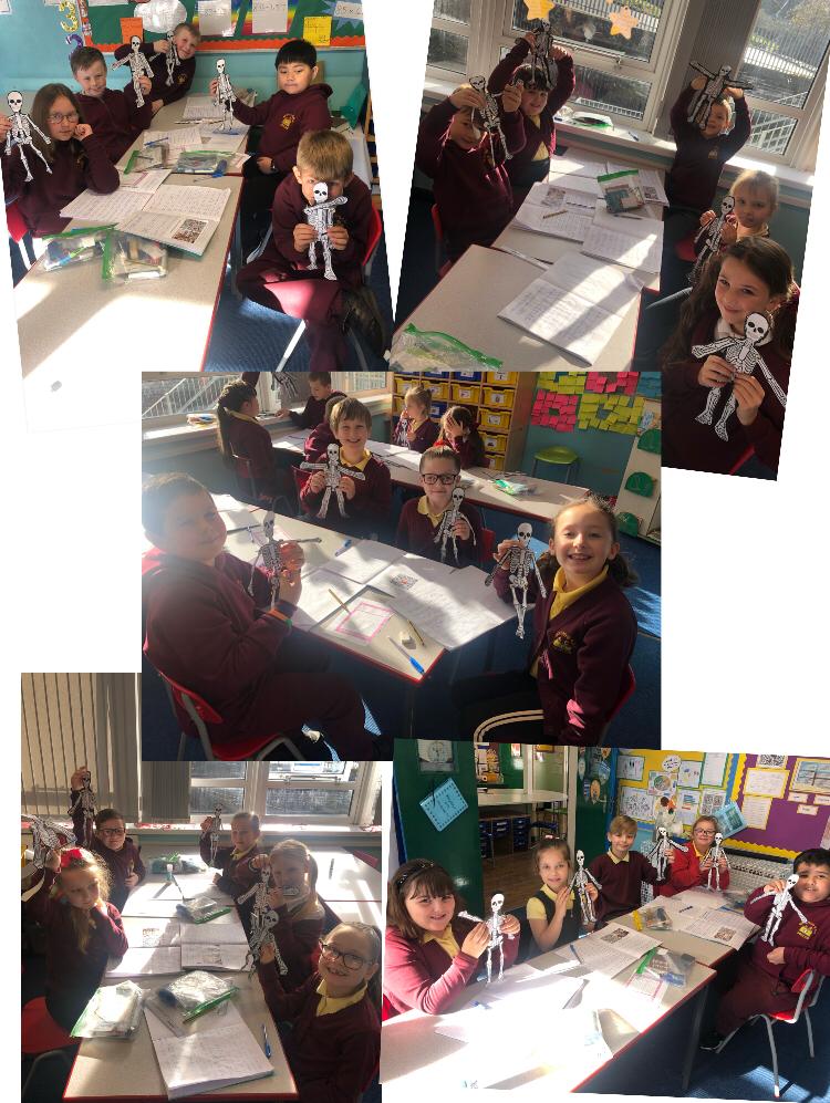 Illtyds_RC's tweet photo. Yr4/5 have had a fantastic morning celebrating World Science Day by learning about our skeletons. They made moving skeleton puppets and delivered presentations to their classmates.
World #Scienceday2020 #understandingmybody #learningaboutme @BHHSScience https://t.co/VOKv6aHqvU