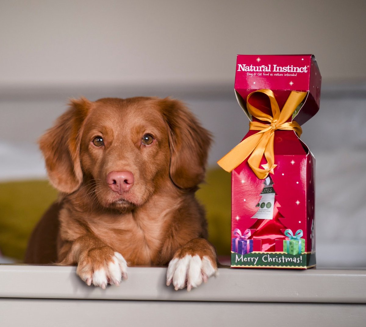 natural instinct dog food suppliers