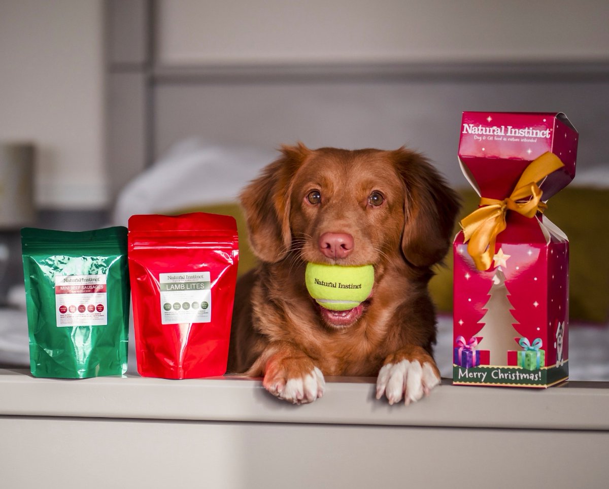 natural instinct dog food suppliers