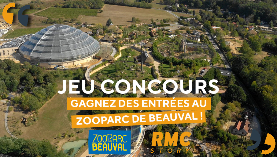 RMCStory's tweet photo. ⭐️#CONCOURS⭐️

🐼 Tentez de gagner des places pour le @zoobeauval, à l'occasion de la diffusion du documentaire "Zooparc de #Beauval : au cœur de la machine" ce soir sur #RMCStory !

 ✅#Follow @RMCStory &amp; @zoobeauval
 ✅#RT &amp; #Like
 ✅#Tag un ami

📢 Résultats lundi 16 novembre https://t.co/BZQ2n3HGbQ