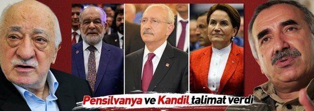 Zillet ittifakının adayı Özlem Hanım mı acaba 🇹🇷🕋🍎