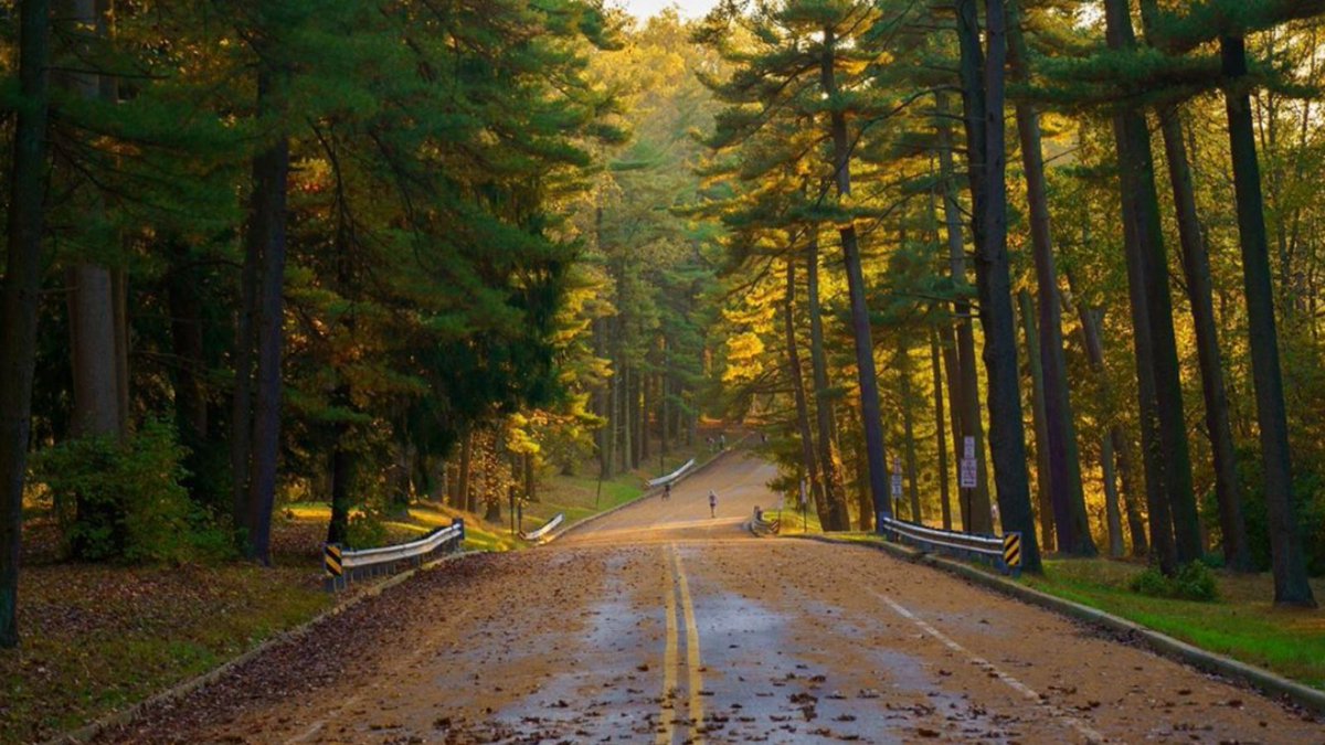 lunchbox_beats's tweet photo. Fall stroll in the not so fall weather.
Which soundtrack will you listen to, with this landscape?

#music #electronicmusic #inspo #fallmood https://t.co/LnXsqRfOF6