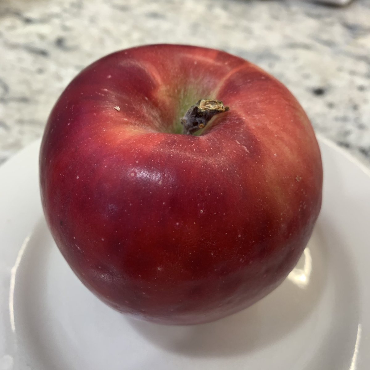 Staymared, 1930s, WA. My farmstand has detailed signage about every apple — next to this one it just says “great for applesauce!”  talk about damned with faint praise. The taste is actually nice, sweet with a brightness — but the texture sucks. Great for applesauce indeed. 3/10