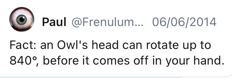 Paul tweet media