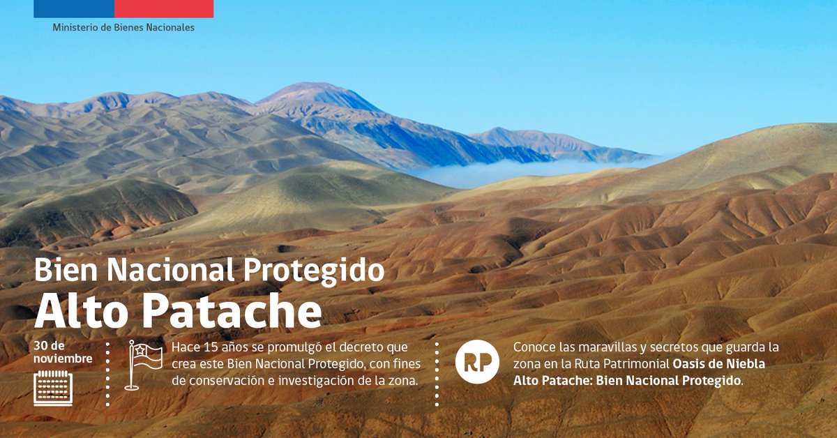 rutas_mbn's tweet photo. Un día como hoy, en 2005, se creó el Bien Nacional Protegido Alto Patache 😮

Conoce el lugar en nuestra #RutaPatrimonial 👉 https://t.co/AsHls7hjCQ

Síguenos y #DescubreTuTerritorio junto a #RutasPatrimoniales 🙌

@MinisterioBBNN, @SubseBBNN https://t.co/2yTbvXlE5z