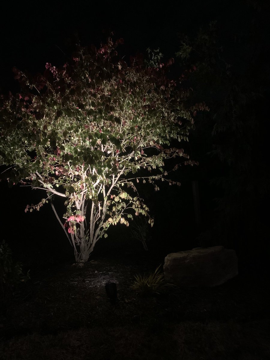 Ridge Rock Landscapes tweet media