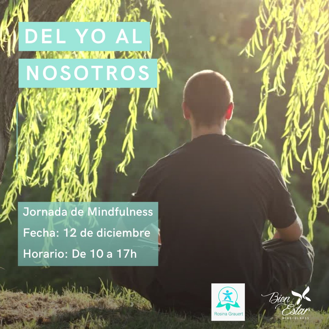🌻🌱 Jornada de Mindfulness - Detenernos antes de terminar el año - mailchi.mp/a2526ffc39a4/p…